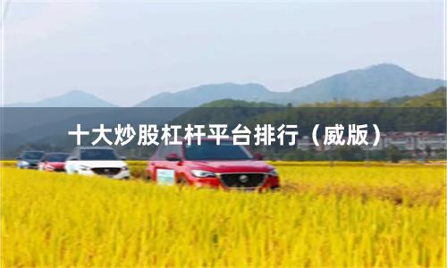 十大炒股杠杆平台排行（威版）