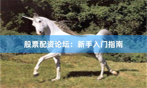 股票配资论坛：新手入门指南