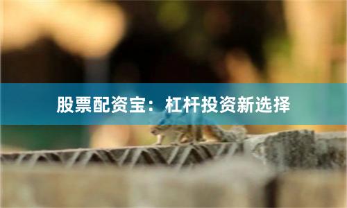 股票配资宝：杠杆投资新选择