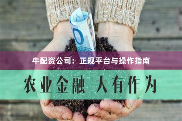 牛配资公司：正规平台与操作指南