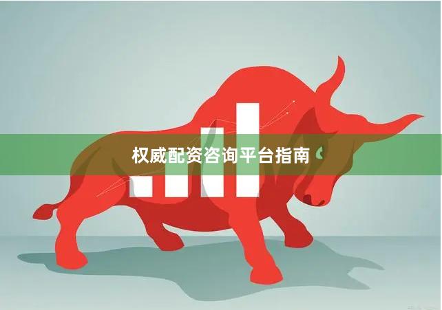 权威配资咨询平台指南